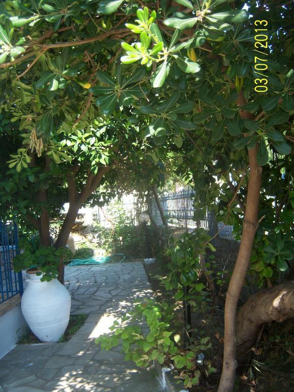 Smile Stella Studios Skopelos Pokój zdjęcie